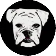 Tyler O'Shea logo